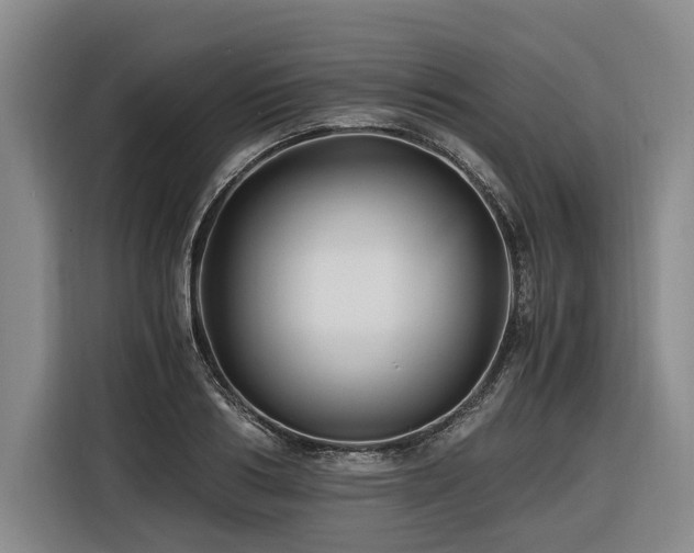 X0000116440986200912081553