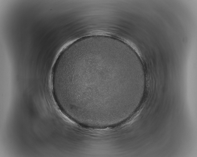 X0000116440987200912081553