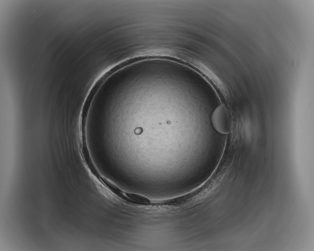 X0000116440988200912081553