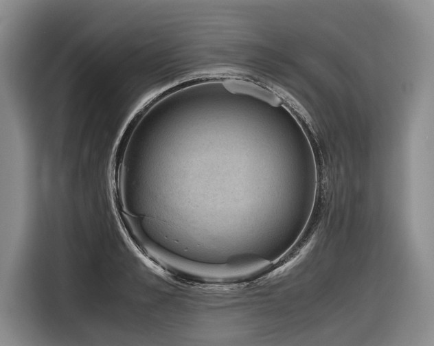 X0000116440989200912081553