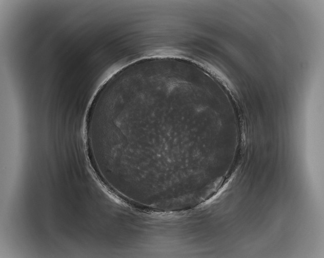 X0000116440990200912081553