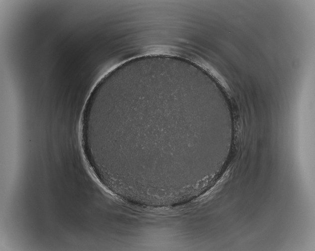 X0000116440991200912081553