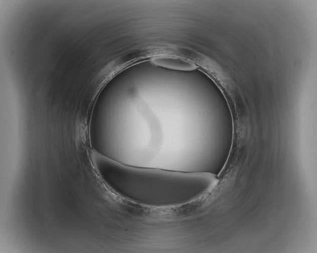 X0000116440993200912081553