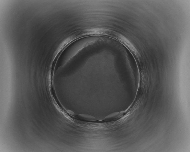X0000116440994200912081553