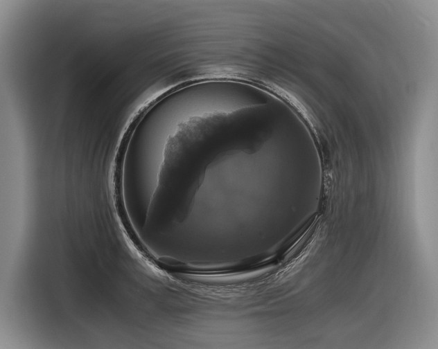 X0000116440995200912081553