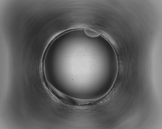 X0000116440996200912081553