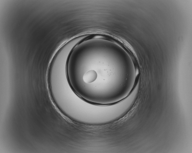 X0000116440997200912081553