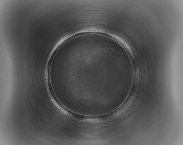 X0000116440998200912081553