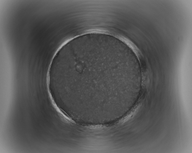 X0000116440999200912081553