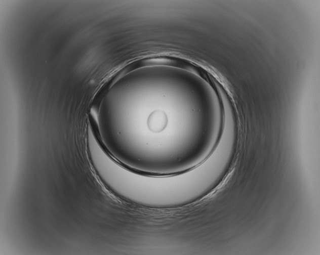 X0000116441001200912081553