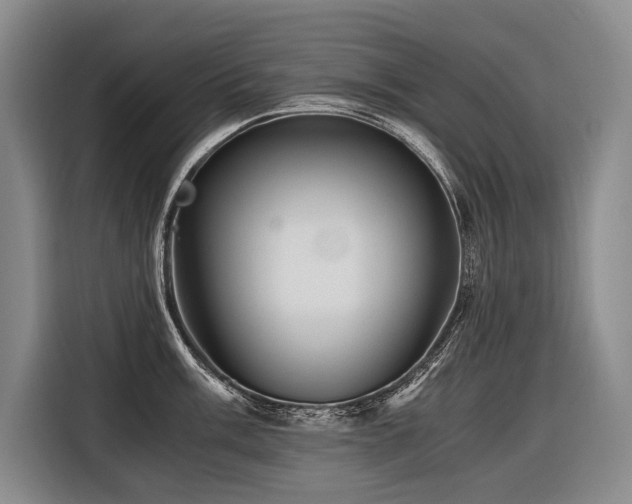X0000116441003200912081553