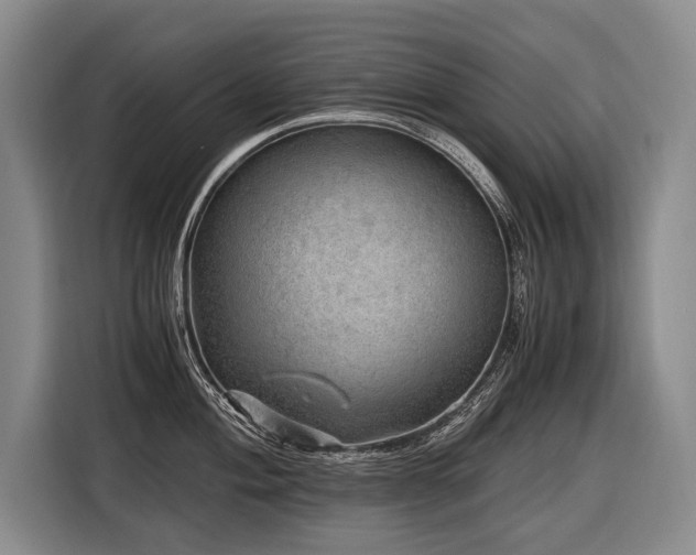 X0000116441004200912081553