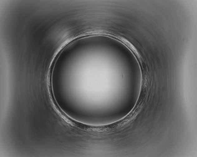 X0000116441005200912081552