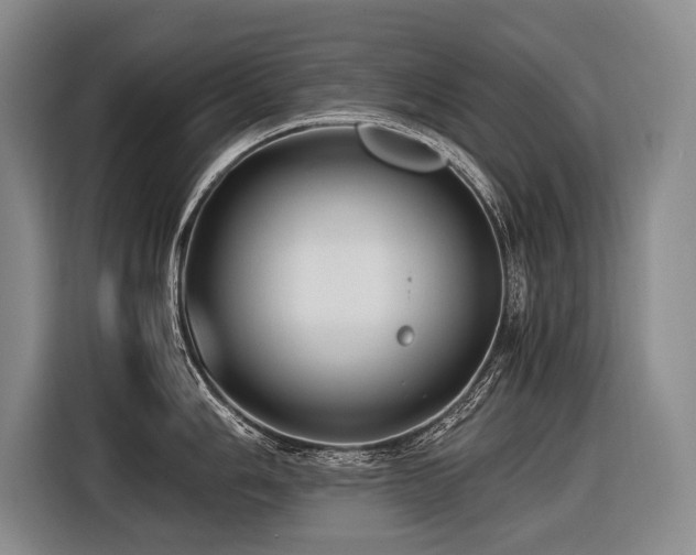 X0000116441006200912081552