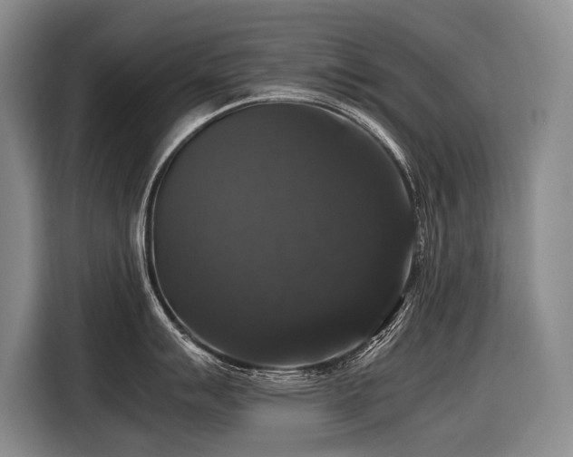 X0000116441007200912081552