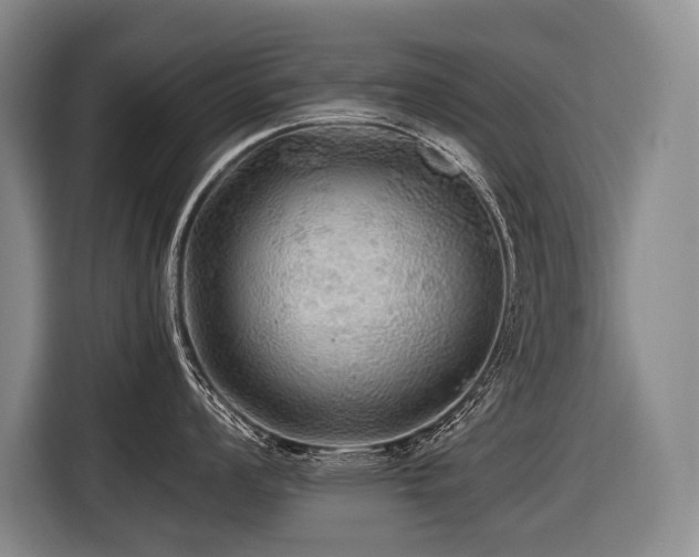 X0000116441008200912081552