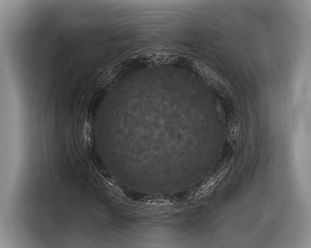 X0000116441010200912081552