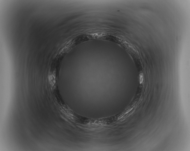 X0000116441011200912081552