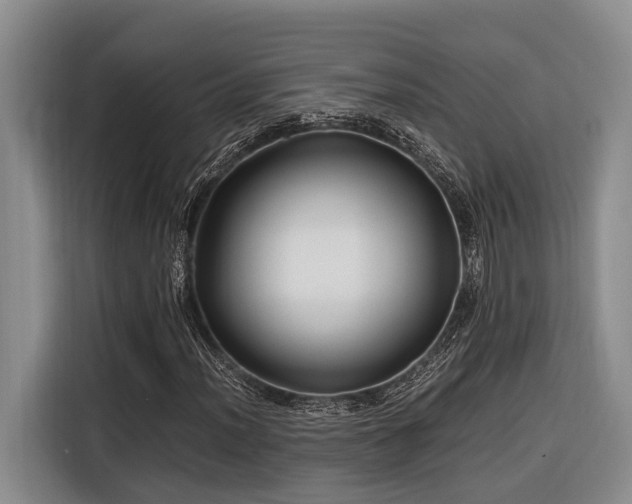 X0000116441012200912081552