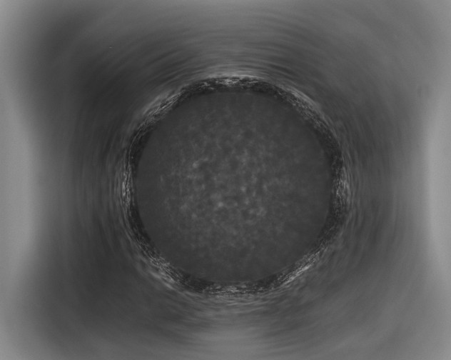 X0000116441014200912081552