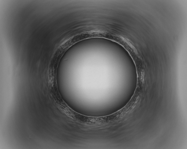 X0000116441015200912081552