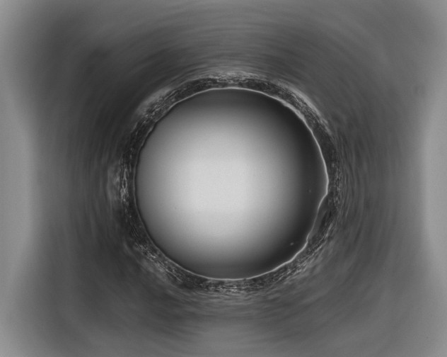 X0000116441016200912081552