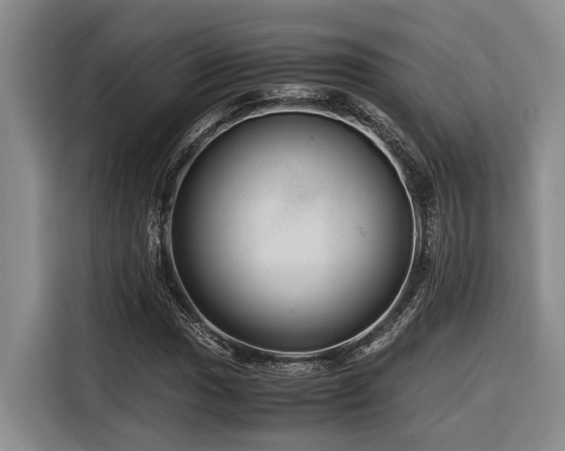 X0000116441017200912081552