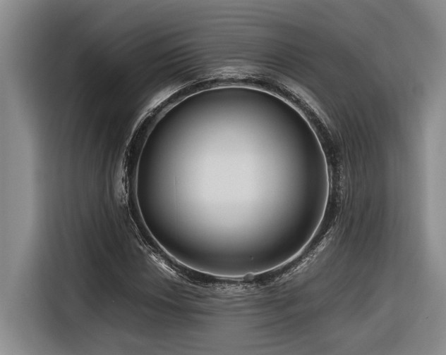 X0000116441018200912081552