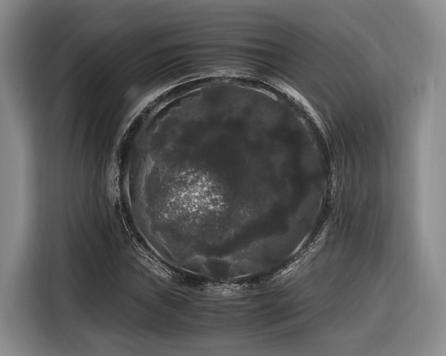 X0000116441019200912081552