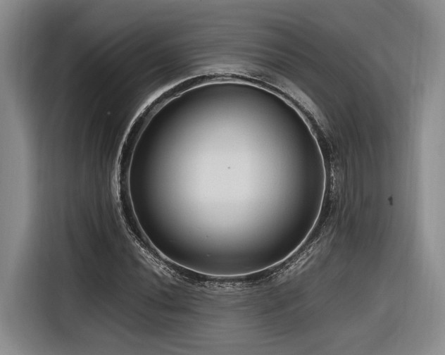 X0000116441020200912081552