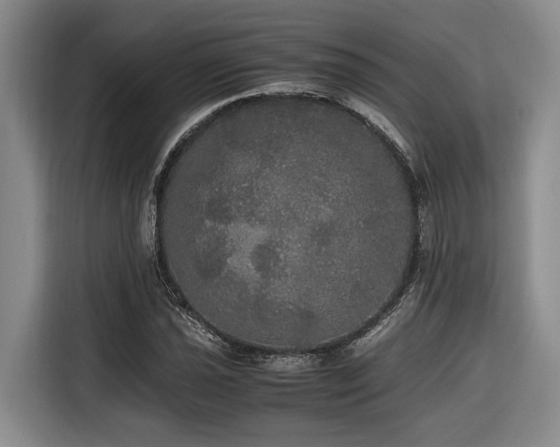 X0000116441021200912081552