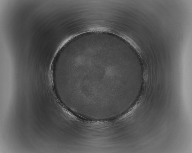 X0000116441022200912081552