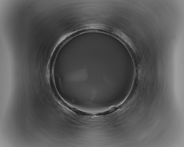 X0000116441024200912081552