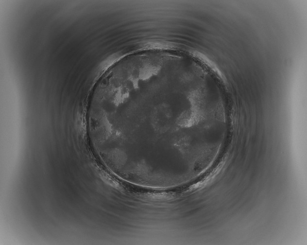 X0000116441025200912081552