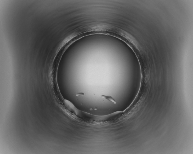 X0000116441026200912081552