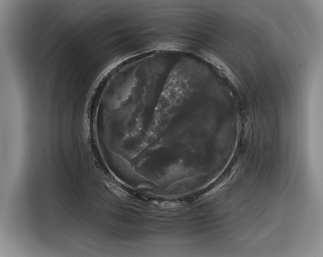 X0000116441027200912081552