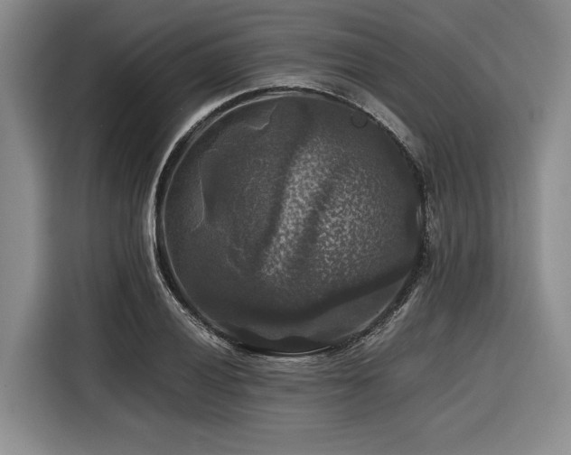 X0000116441028200912081552