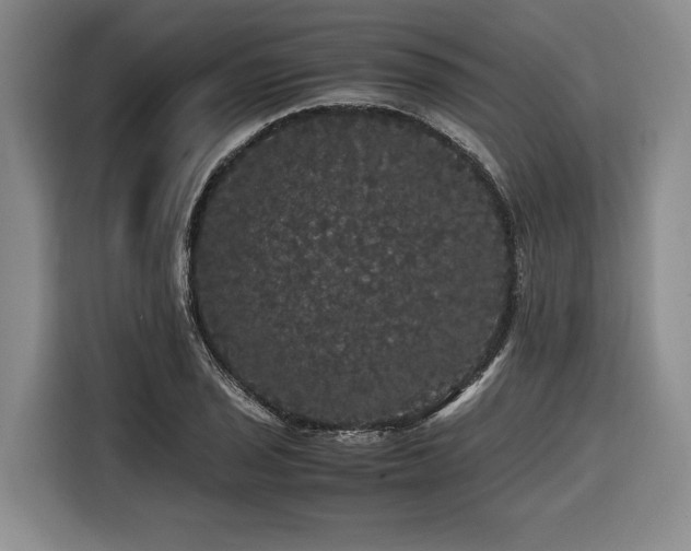 X0000116441029200912081552