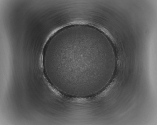 X0000116441030200912081552