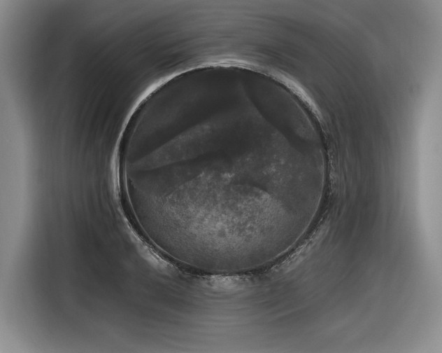 X0000116441032200912081552