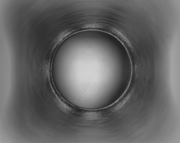 X0000116441033200912081552