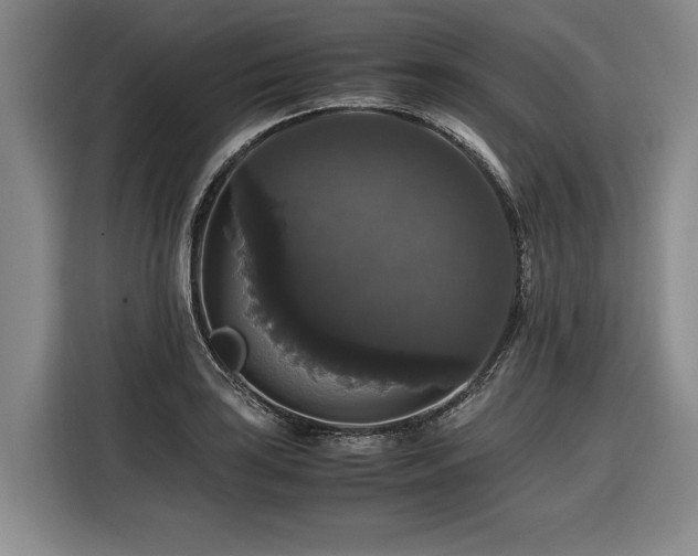 X0000116441035200912081552
