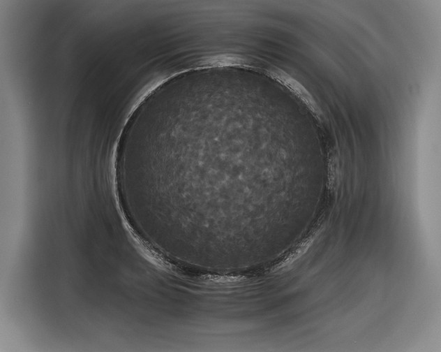 X0000116441039200912081552