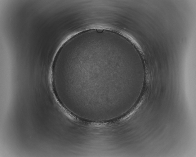 X0000116441040200912081552