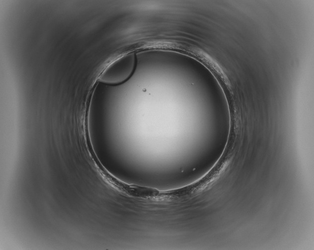 X0000116441041200912081552