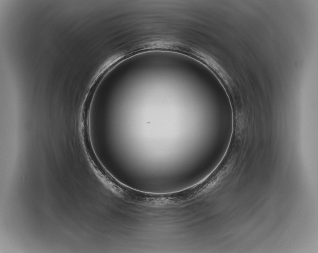 X0000116441042200912081552