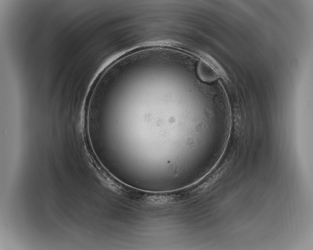 X0000116441044200912081552
