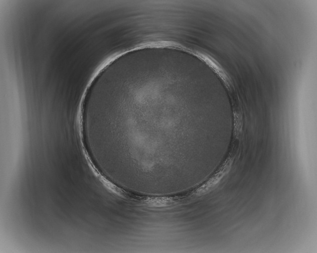 X0000116441046200912081552