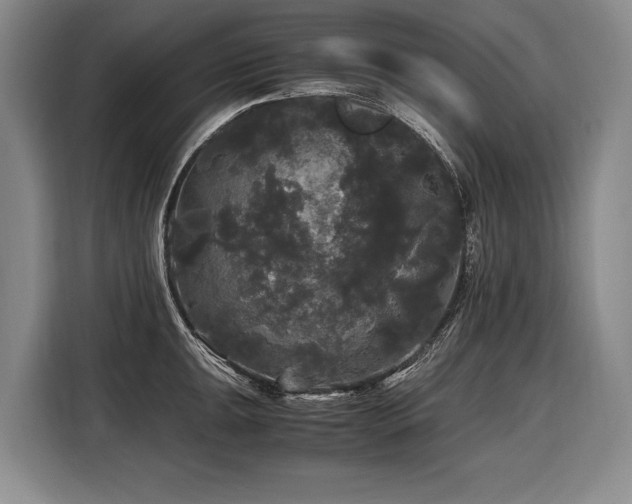X0000116441047200912081552