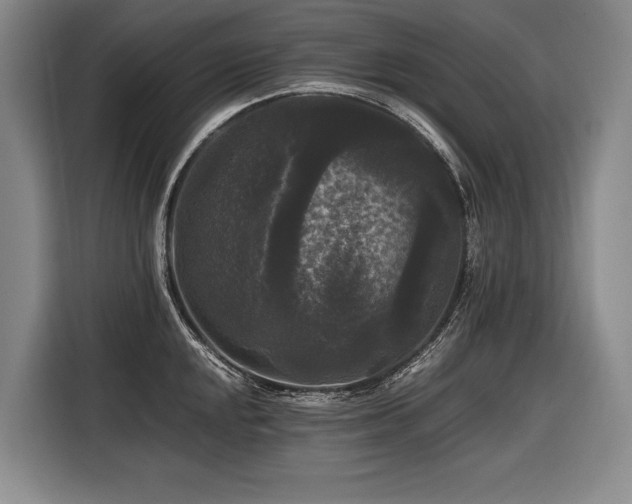 X0000116441048200912081552